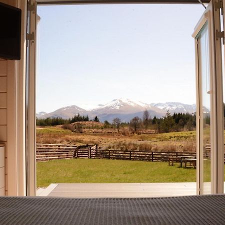 Toradh Cabin スピーン・ブリッジ エクステリア 写真