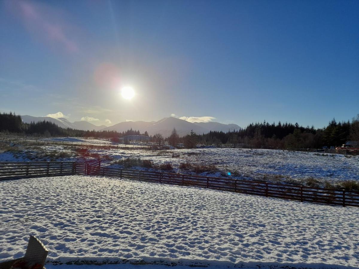 Toradh Cabin スピーン・ブリッジ エクステリア 写真